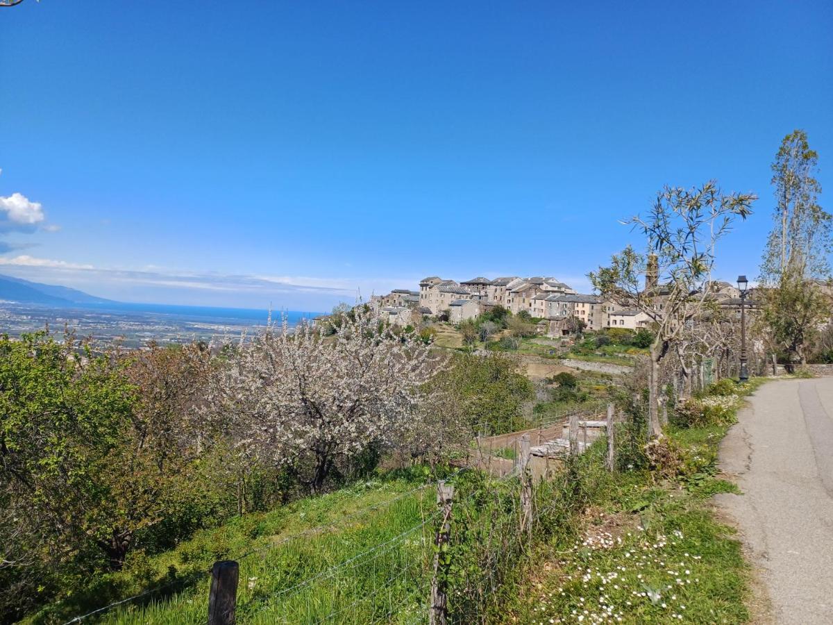 Casa Pernice Penta di Casinca Екстер'єр фото