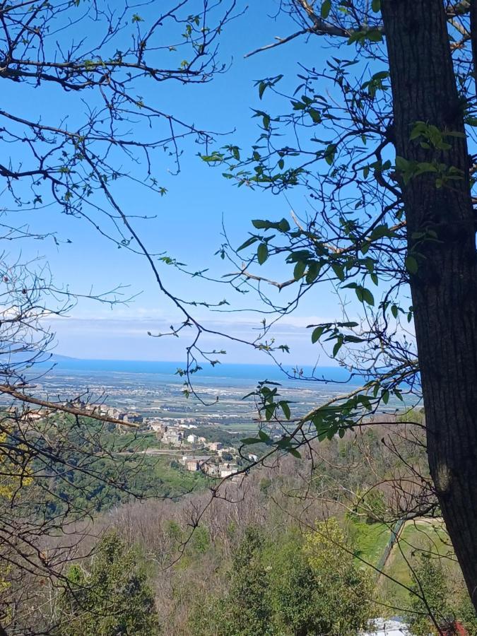 Casa Pernice Penta di Casinca Екстер'єр фото